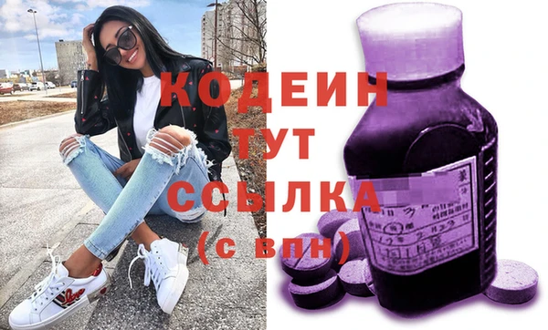 гашик Гусев
