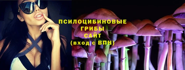 гашик Гусев