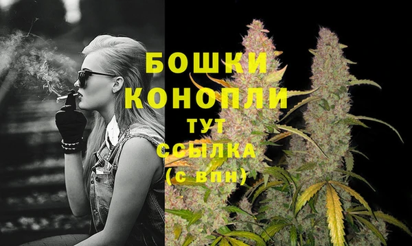 ешки Гусиноозёрск
