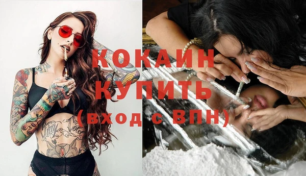 гашик Гусев