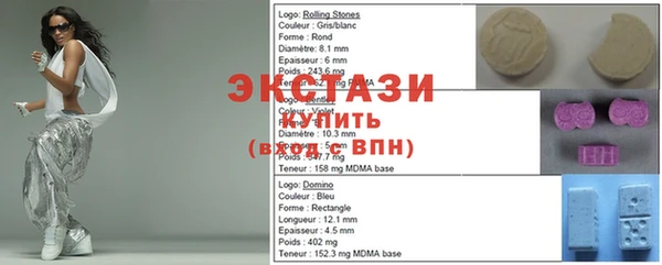 ECSTASY Гусь-Хрустальный