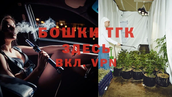 гашик Гусев