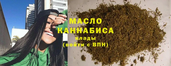 ECSTASY Гусь-Хрустальный