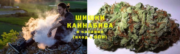 гашик Гусев