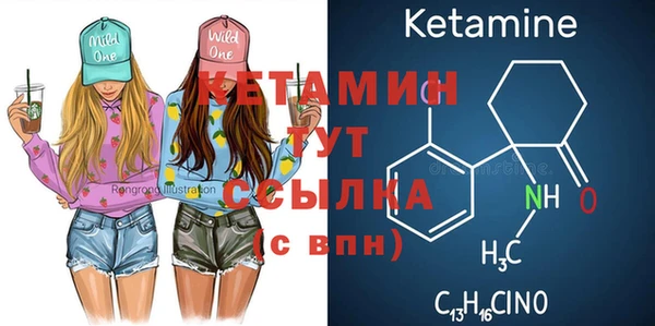 ECSTASY Гусь-Хрустальный