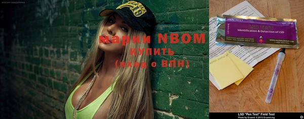 гашик Гусев
